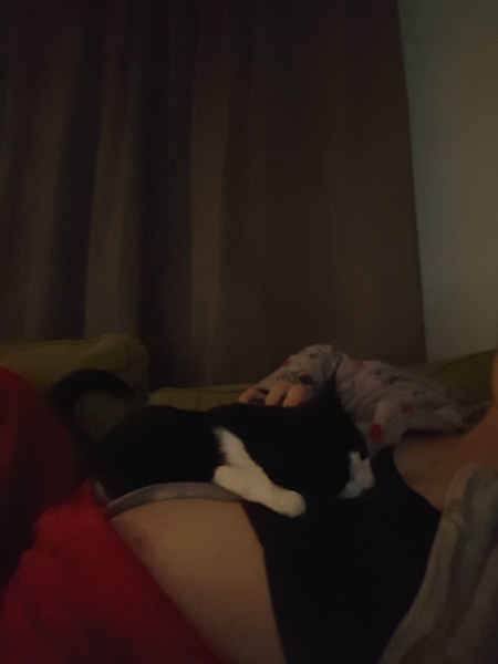 Staying posifrickentive- Thread 13 for ladies pg after mc