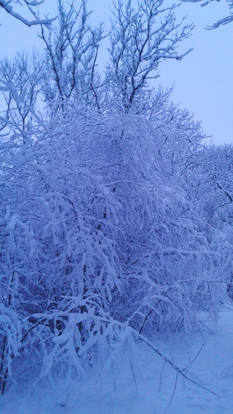 Swagger Inn 140 - Where The Musketeers shout "We've come for your wenches" and The Wenches shout "Okay!"