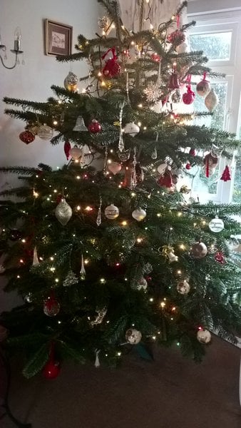 To think blue lights are NOT Christmassy (light-hearted)