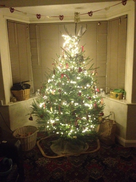 Show Us Your TREES!