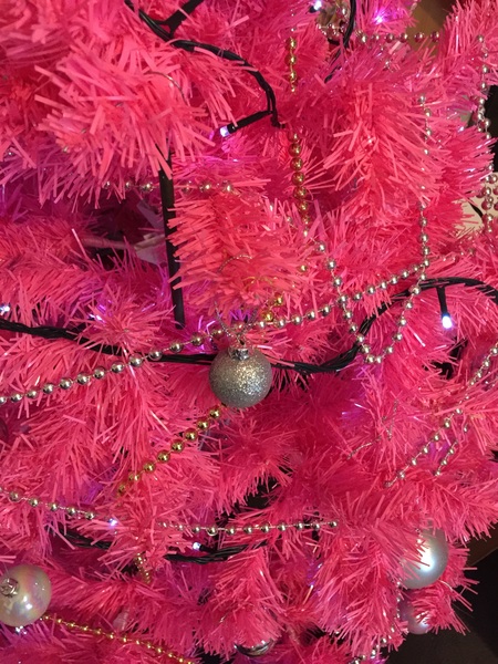 How much of a prat am I going to look if I ask them to replace this tree?