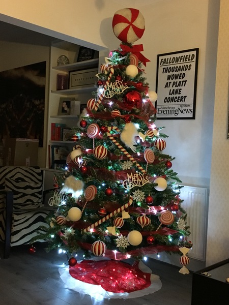 Show Us Your TREES!