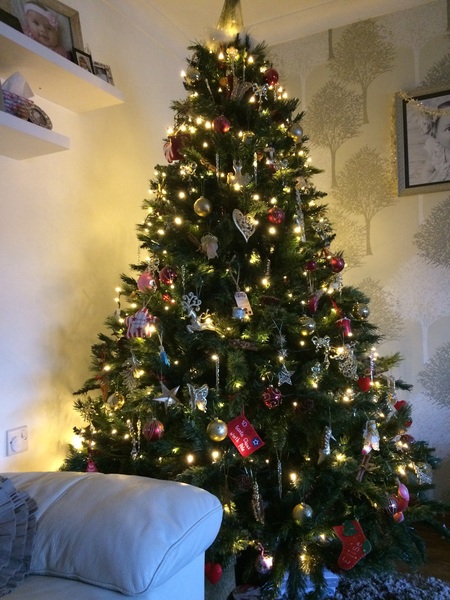 Show Us Your TREES!