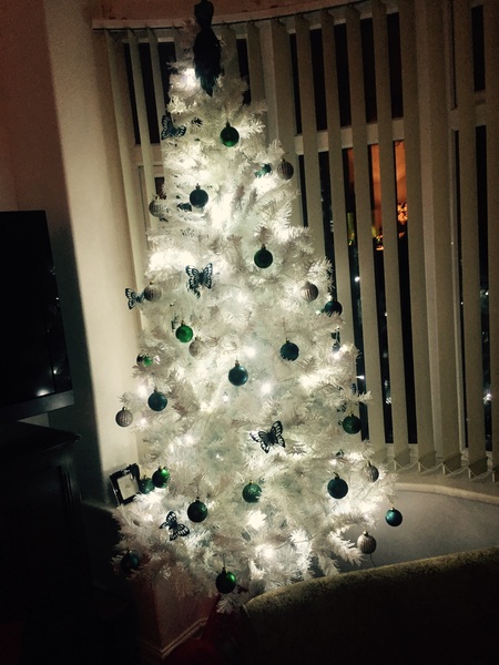 Show Us Your TREES!