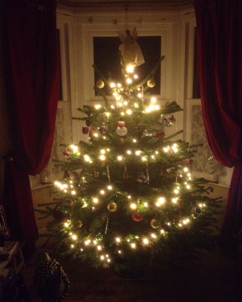 Show Us Your TREES!