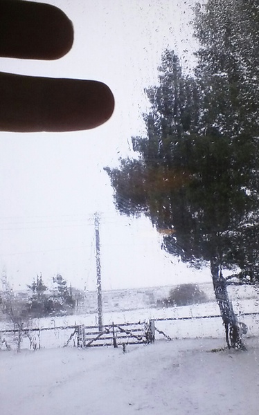 BadKittens Just For Fun Christmas forecast thread.