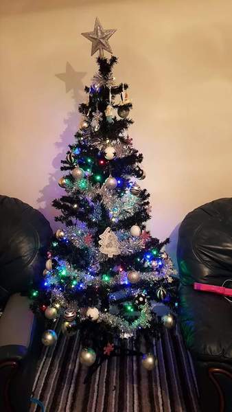 Show Us Your TREES!