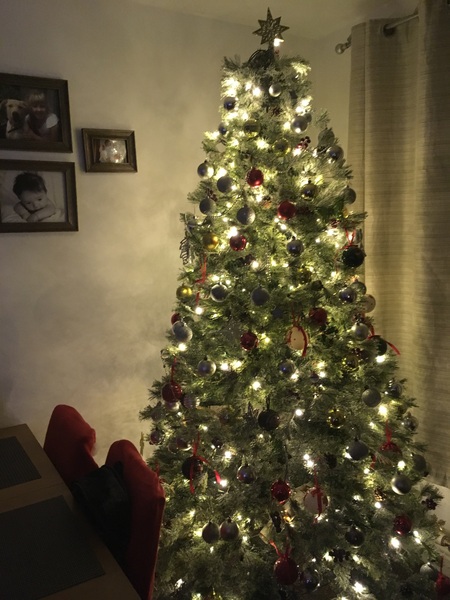 Show Us Your TREES!