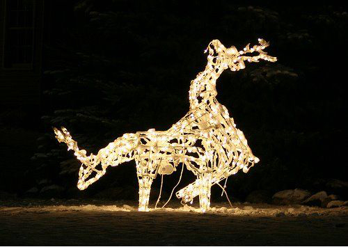 To think blue lights are NOT Christmassy (light-hearted)