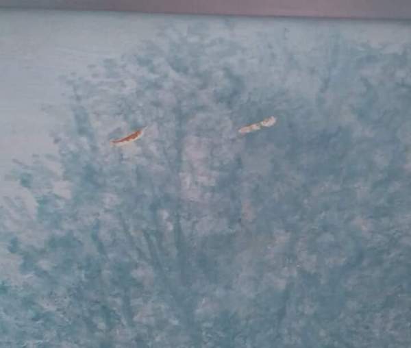to ask you how to fix this painting?