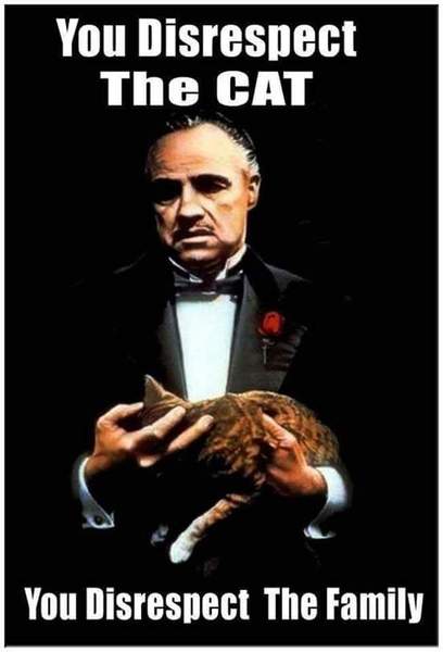 Swagger Inn Thread 141 - May every wench find an hbf under her --duvet-- mistletoe this Christmas