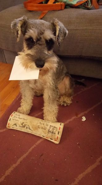 What's special about your breed of dog?