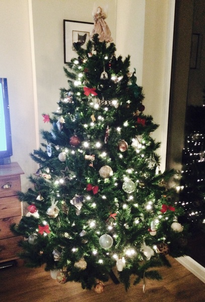 Show Us Your TREES!