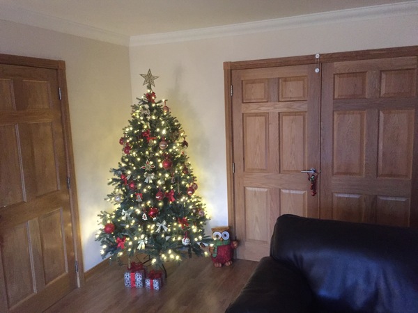 Show Us Your TREES!