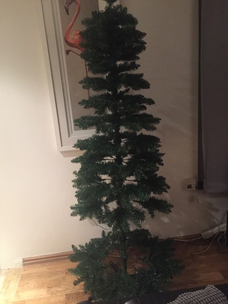 Show Us Your TREES!