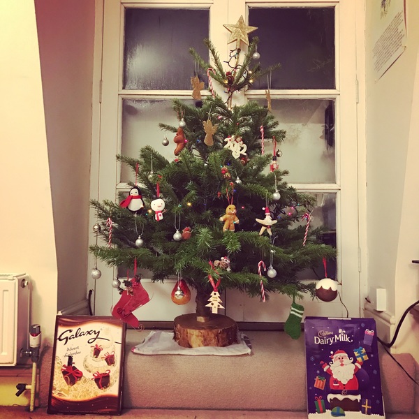 Show Us Your TREES!