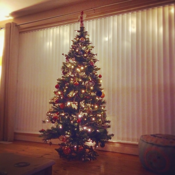 Show Us Your TREES!