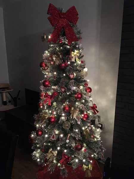 Show Us Your TREES!