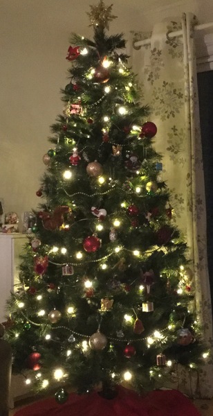 Show Us Your TREES!