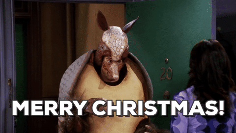 Merry Christmas mumsnetters!
