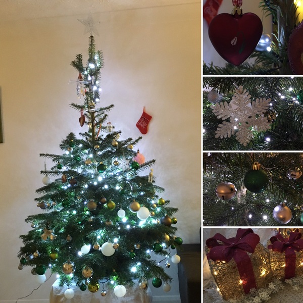Show Us Your TREES!