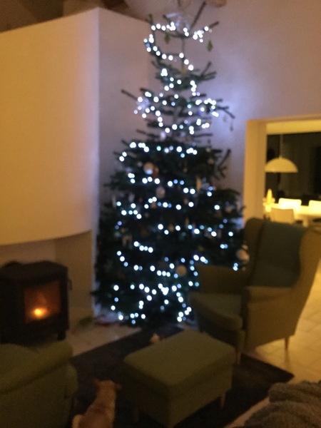 Show Us Your TREES!
