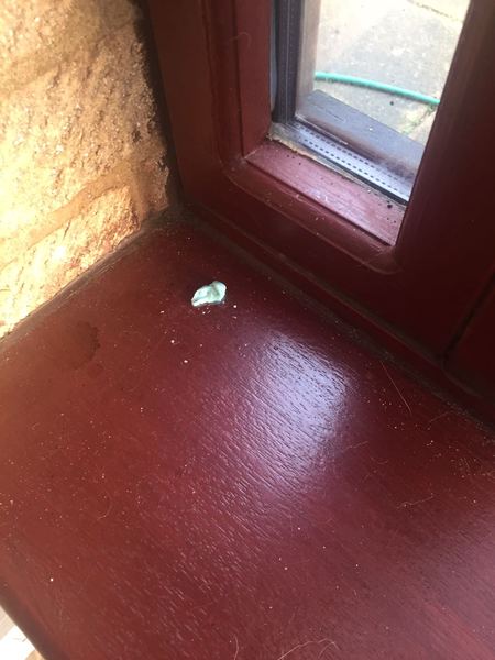 Half eaten sweets