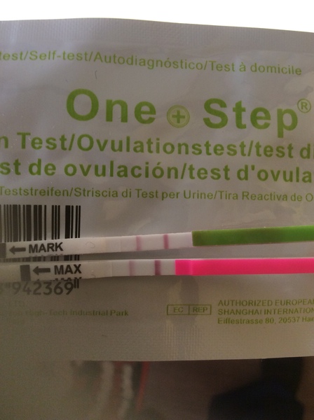 OPK or BBT help please?!