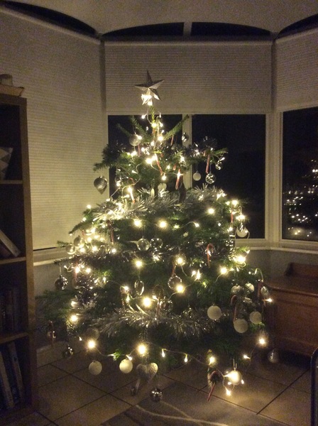 Show Us Your TREES!