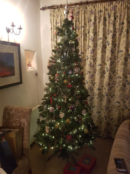Show Us Your TREES!