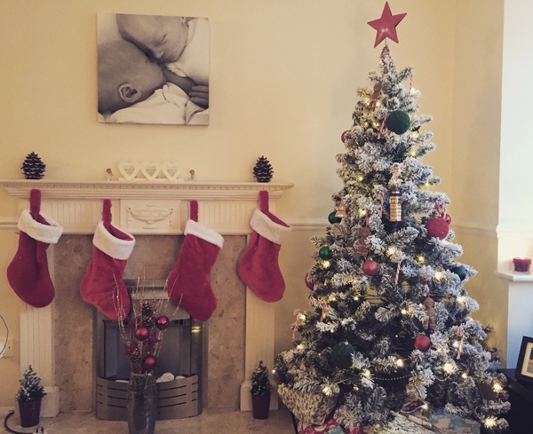 Show Us Your TREES!