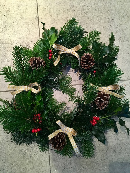 Show Us Your TREES!
