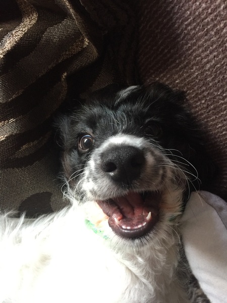 Vaccination question