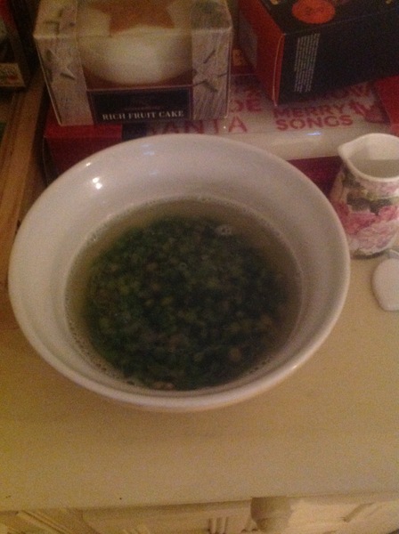 A Christmas dinner should not include ......