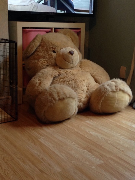 ..to be upset that DP shares custody of his teddy bear with his ex?