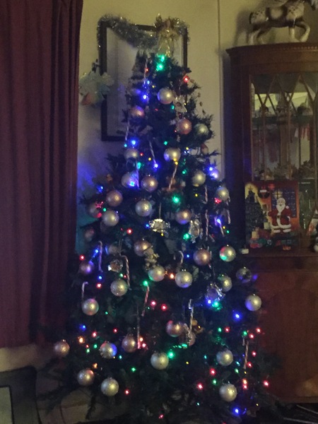 Show Us Your TREES!