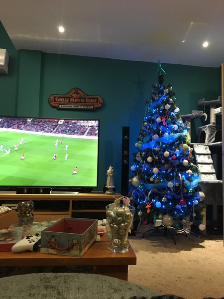 Show Us Your TREES!