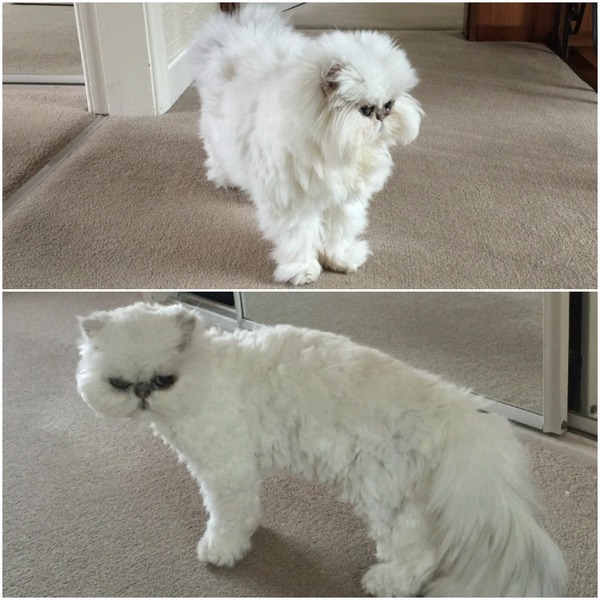 Swagger Inn 140 - Where The Musketeers shout "We've come for your wenches" and The Wenches shout "Okay!"