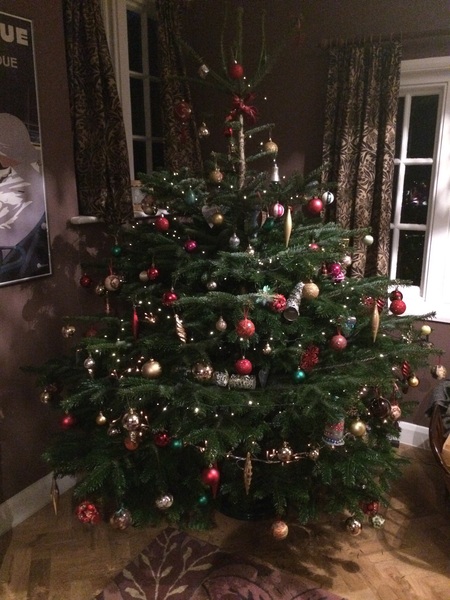 Show Us Your TREES!