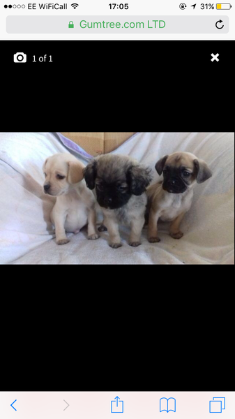 TTC after miscarriage thread #6