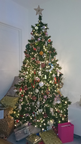 Show Us Your TREES!