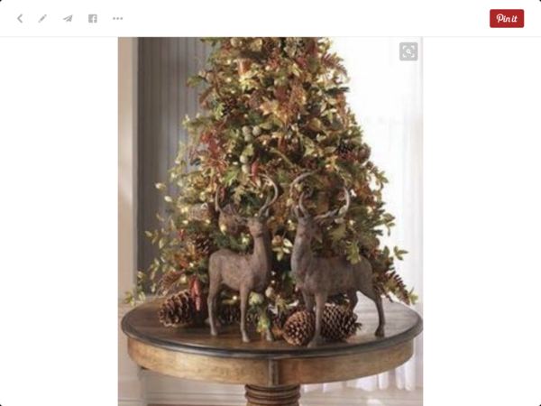 To be angry and upset with dp over Christmas tree?