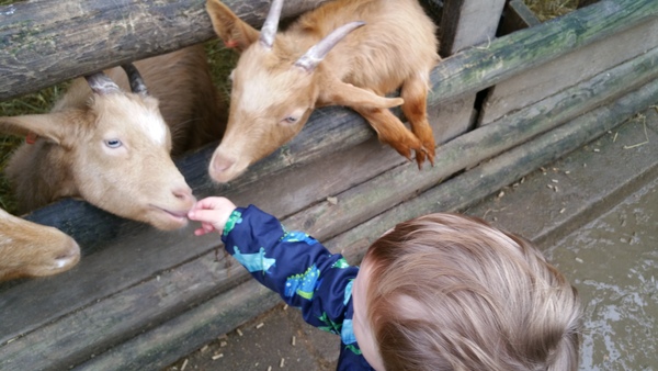 Lights twinkle, it's icy cold outside, 'tis the season of Yuletide, come and join us - yes you! For this is JS62!