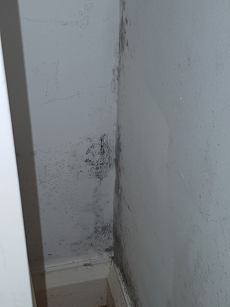 If I set fire to this stupid house will that finally stop the damp?