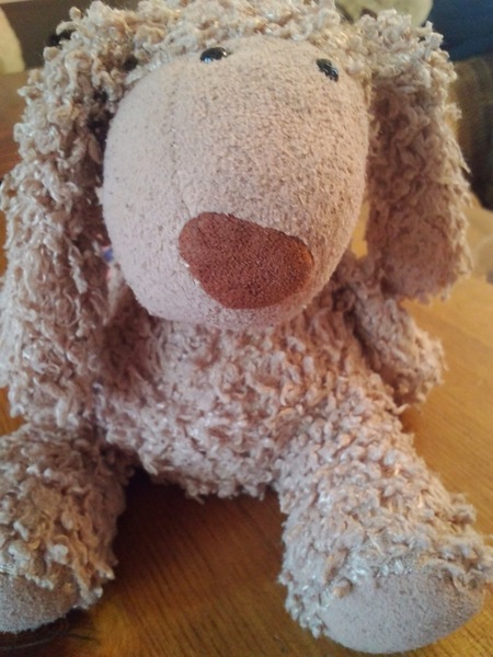 Double tragedy lost jellycat PLEASE HELP