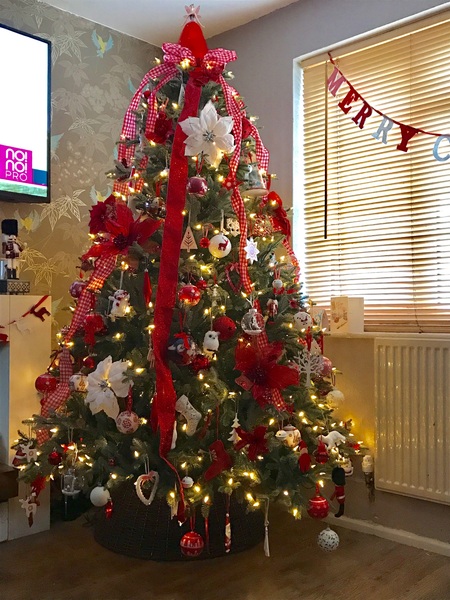 Show Us Your TREES!