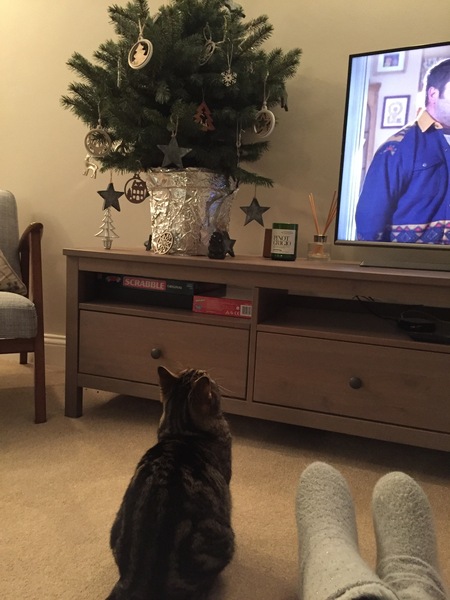 Festive Frugaleers - Chatting and saving through Christmas.