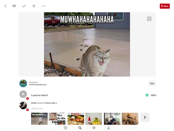 Dick moves your pets have made