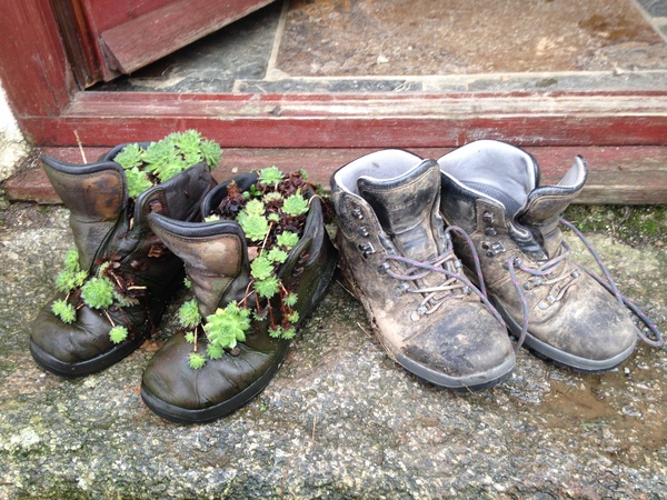 Gardening shoes/boots