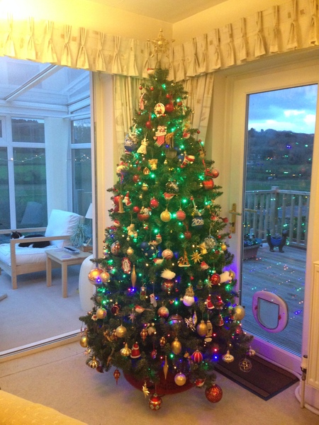 Show Us Your TREES!
